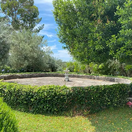 Casa Do - De Campo Ferreira do Zêzere