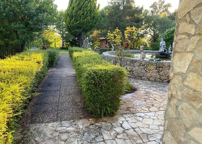 Casa Do - De Campo Villa Ferreira do Zêzere